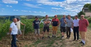 Matériel végétal, vendanges et enjeux économiques au cœur des débats