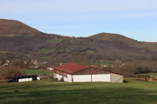 Bâtiments d’élevage : ce que changent les décrets d’application de la loi Entraves