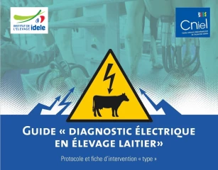 Faire la chasse aux courants électriques parasites en élevage laitier