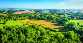 Un marché foncier dynamique en 2025