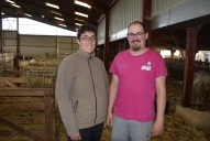 Un bâtiment de bovins converti aux ovins