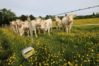 Clôtures et bâtiments : adapter son exploitation à la mixité des espèces