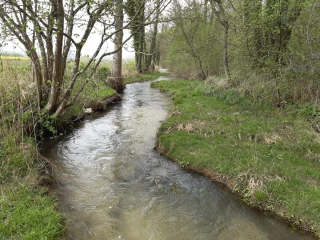 L’eau, source de vie ! L’alimentation aussi ! 