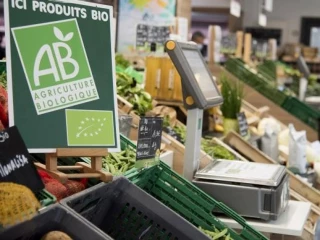 La demande repart, l’offre toujours en recul