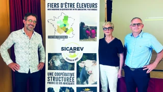Un travail sur le persillé