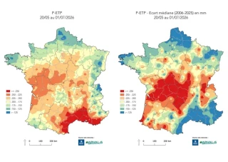 Les éleveurs face à des choix difficiles