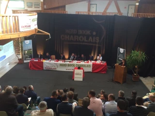Le Herd-book charolais s'invite à l’ère des nouvelles technologies et du nouveau Règlement zootechnique européen