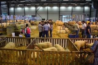 La Société d’agriculture d’Autun veut continuer d’innover