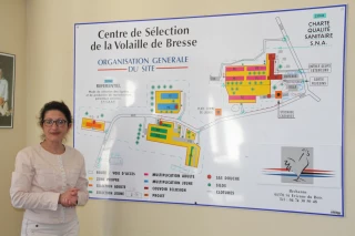 En filières AOP de Bresse, 6,5 M€ nécessaires pour assurer l’avenir du centre de sélection de Béchanne