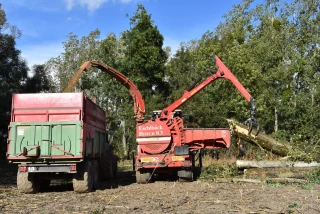 Mettez le grappin sur vos haies
