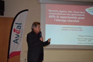 Quelles sont les opportunités pour l’élevage allaitants ?