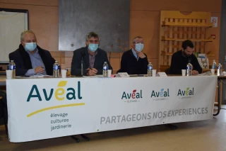 La récolte des premiers fruits !