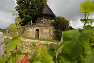 De belles promesses pour l’avenir