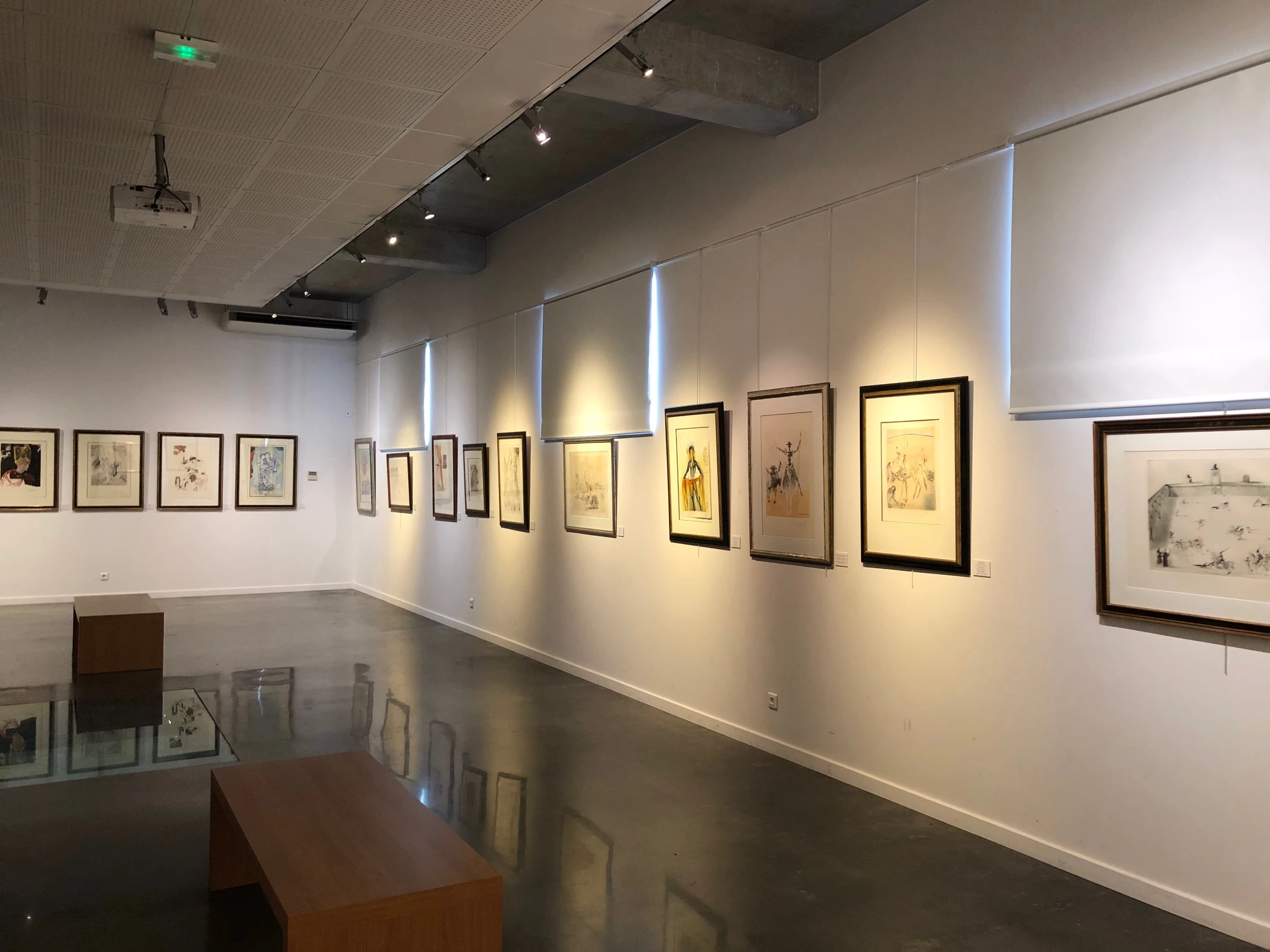 Dali s’expose