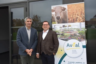 Année éprouvante pour la coopérative Avéal 