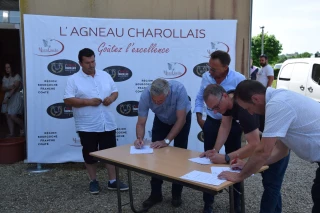 L’OS Mouton Charollais porté par une bonne dynamique !
