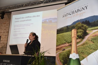 70 caves coopératives pourraient disparaitre 