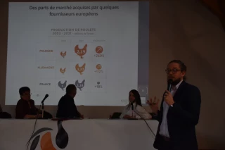 La volaille, « viande préférée des Français »