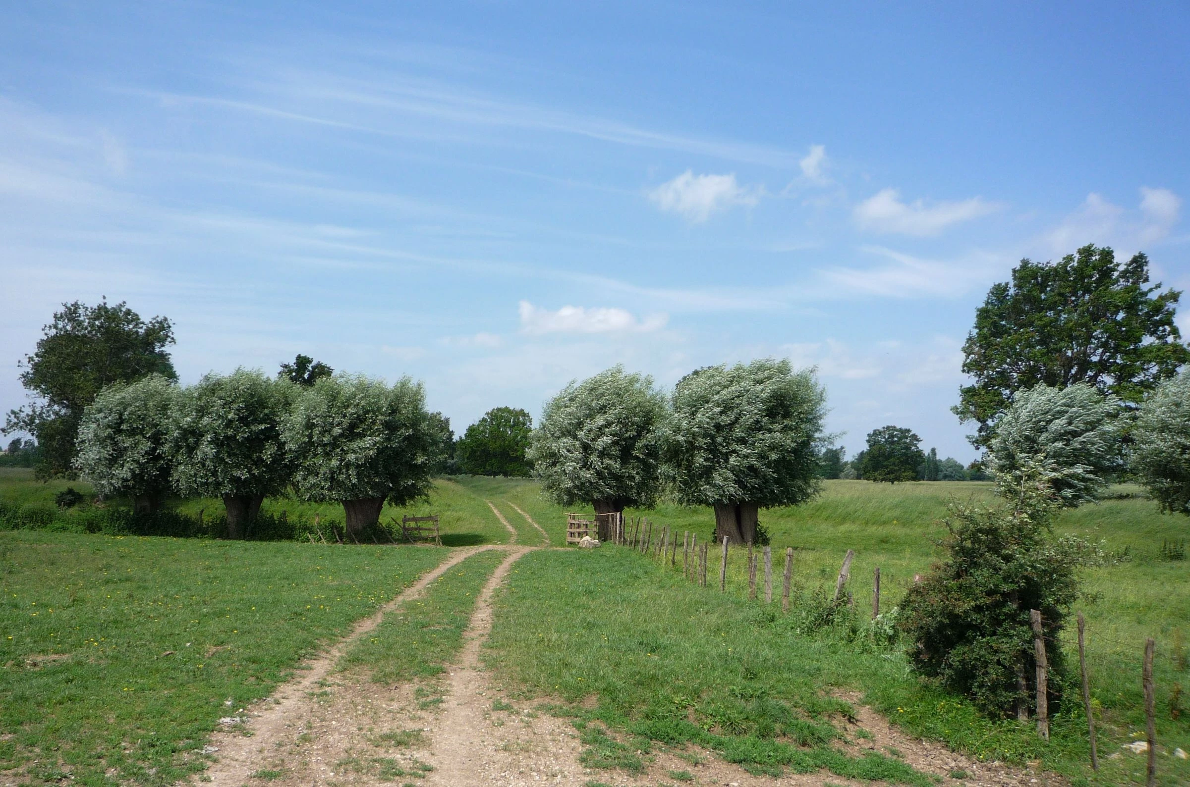 Une belle trogne, ça a plein d’avantages…