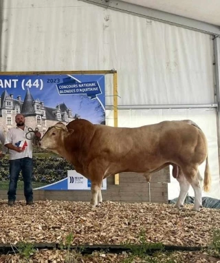 Un éleveur saône-et-loirien champion en race Blonde d’Aquitaine !
