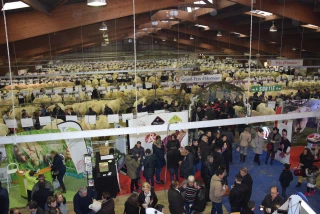 En 2017-2018, la Société d’agriculture du Charollais a connu une saison éprouvante