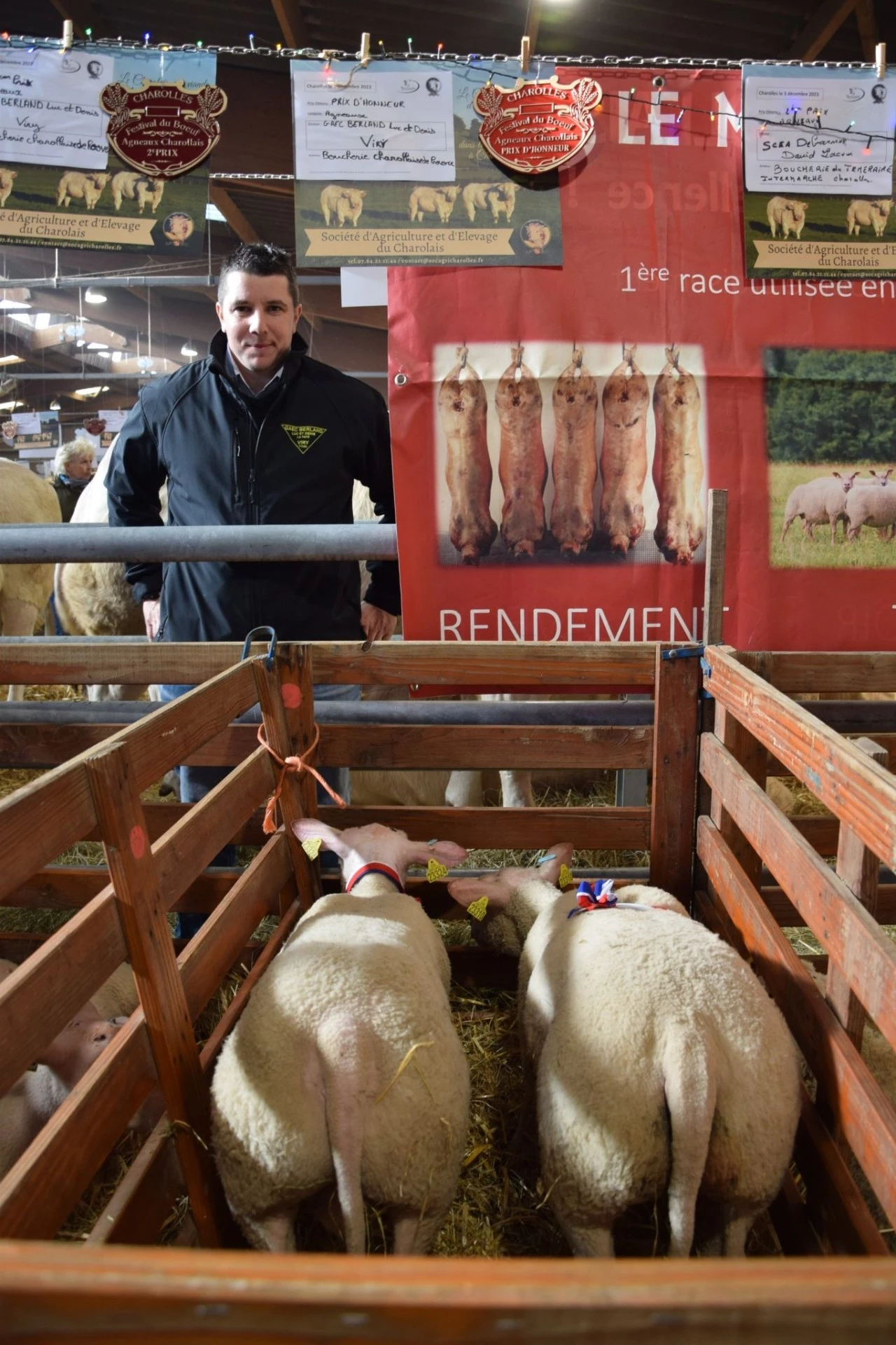 Des agneaux charollais très convoités !