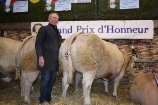 Retour sur le concours de bovins de boucheries