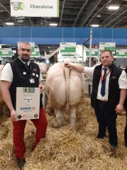 Retour sur la vente de bovins de boucherie du salon de l'agriculture
