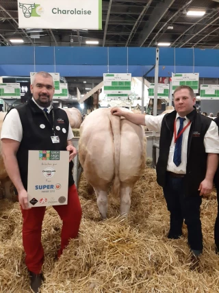 Retour sur la vente de bovins de boucherie du salon de l'agriculture