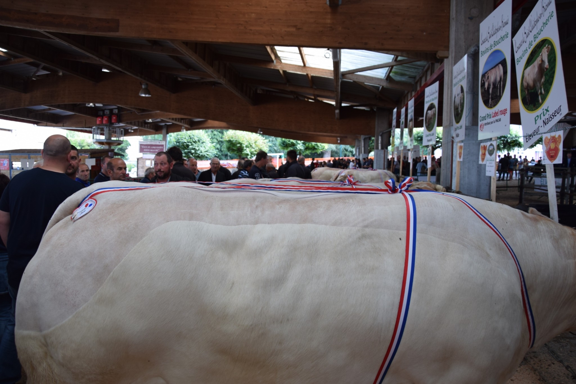 Le concours de bovins de boucherie de Saint-Christophe-en-Brionnais aura lieu le samedi 3 septembre
