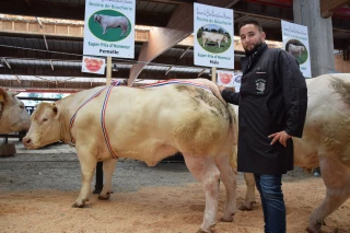 Commerce bien orienté