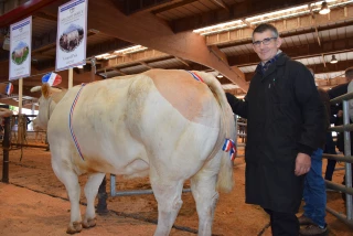 Au concours de bovins de boucherie de Saint-Christophe-en-Brionnais, Armand Brigaud a remporté le grand prix vache charolaise.