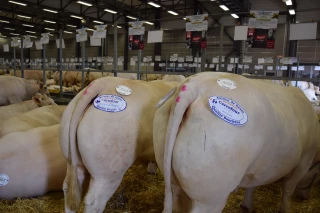 Les inscriptions sont lancées !