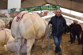 Concours d’animaux de boucherie d’Autun : une cinquantième édition Festiviande !