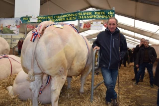 Concours d’animaux de boucherie d’Autun : une cinquantième édition Festiviande !