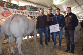 Au concours d’animaux de boucherie d’Autun, des bovins et des agneaux de boucherie disputés !