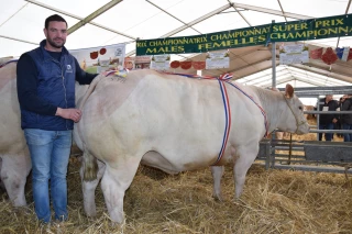 Concours d’animaux de boucherie d’Autun : le Festi’Viande a fait le plein !