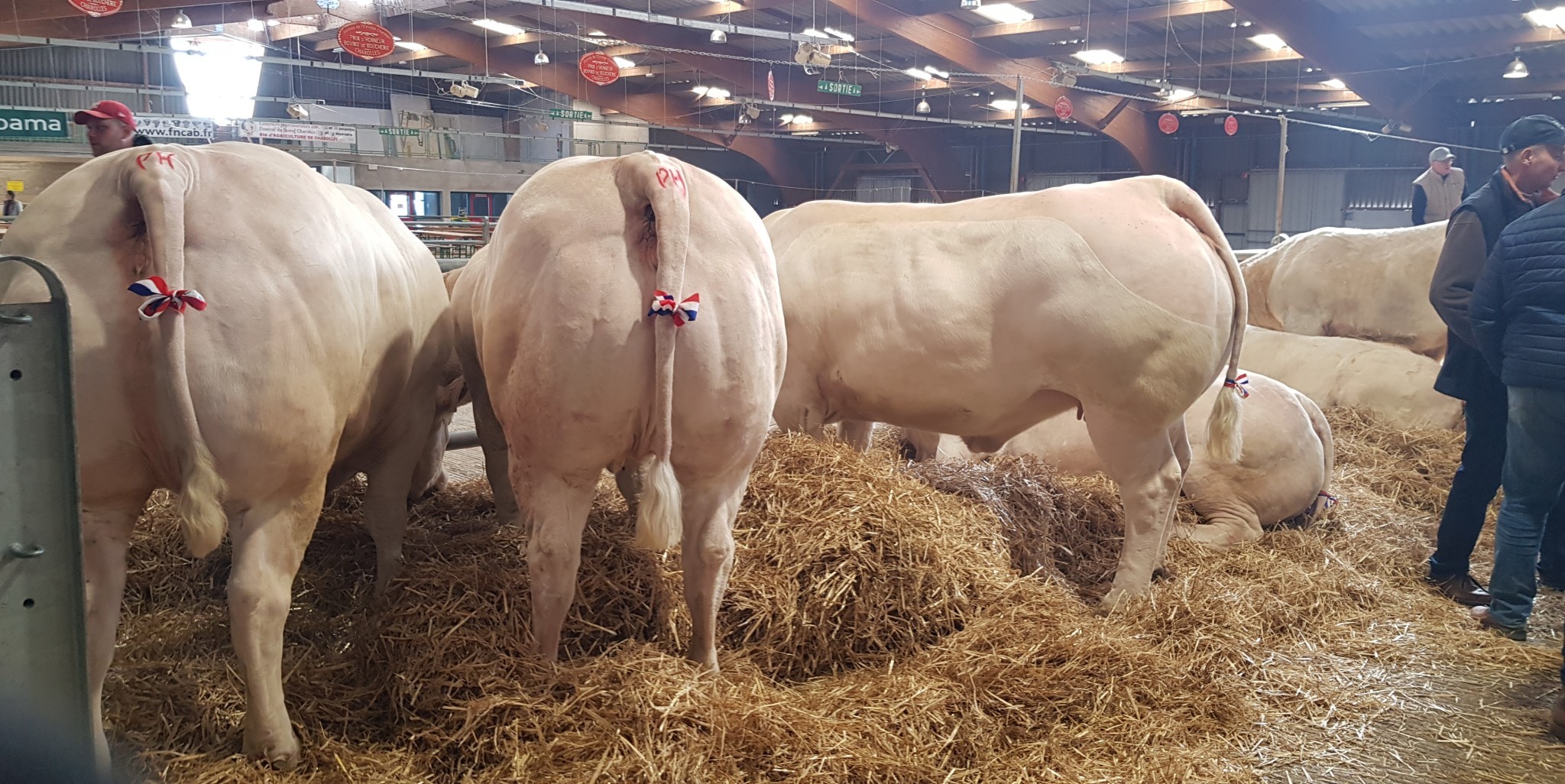 130 animaux à la Journée de l’Élevage