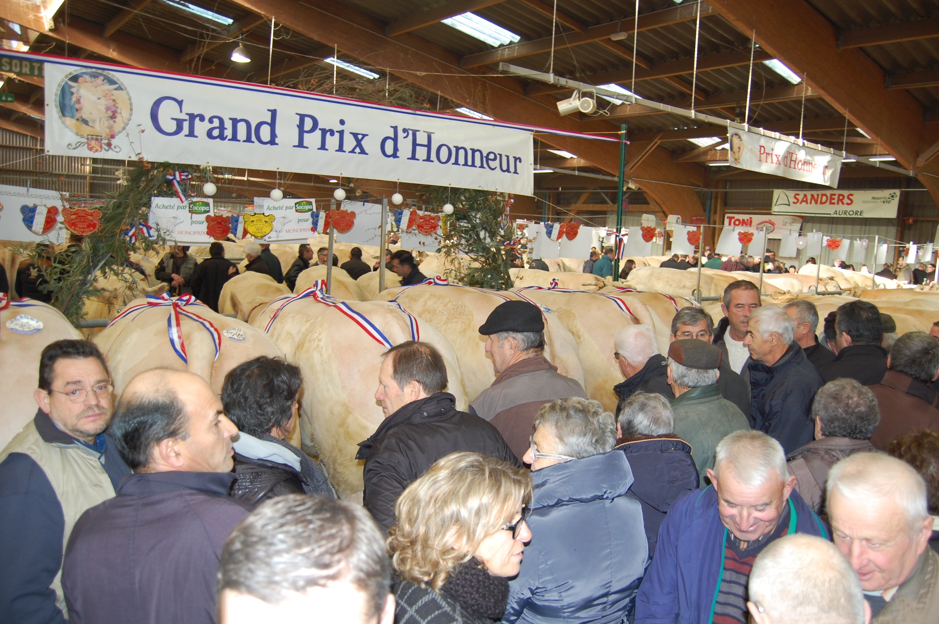 Un Festival du Boeuf qui porte bien son nom ! Agri 71 L'Exploitant