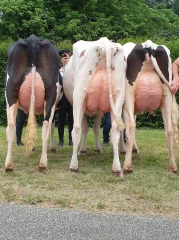 La Saône-et-Loire a brillé au concours laitier de l’Expo du Futur !