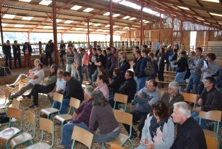 L'aubrac, une race rustique en plein essor