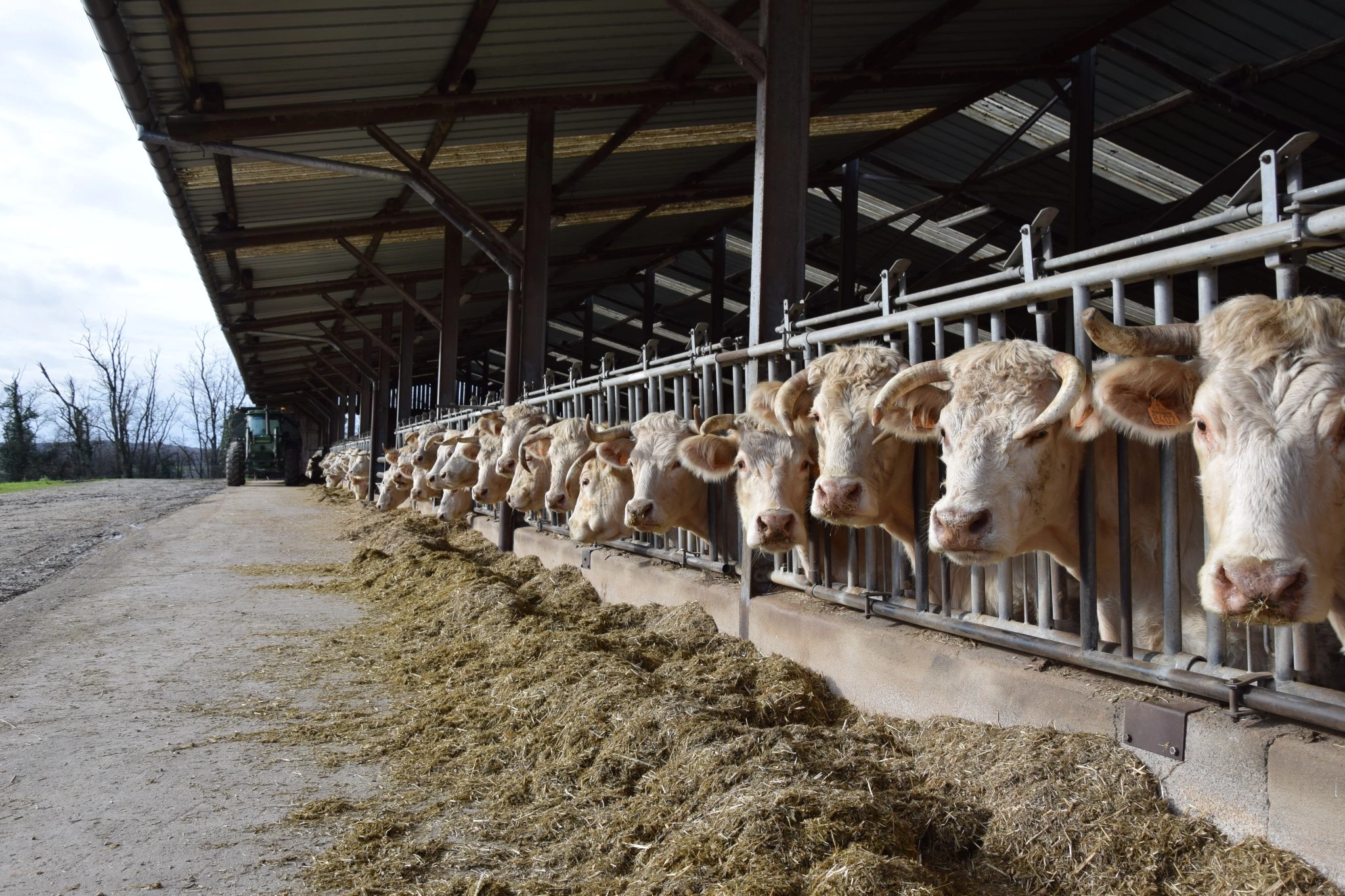 Stades de récolte et besoins des animaux