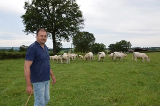 A Chenay-le-Châtel, Yves Rollet a économisé 9.000 € en alimentation pour son cheptel