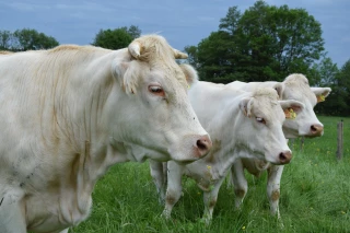 Des services personnalisés sur mesure