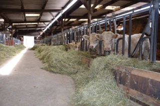 En alimentation hivernale, il existe des pistes pour s’adapter… 