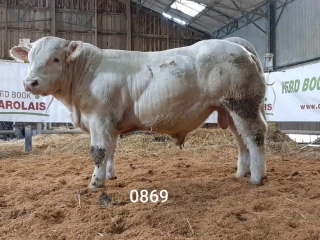 Une vente très attendue 