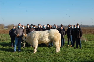 Charolais Évaluation 71 investit dans les gènes d’avenir avec Réglisse !