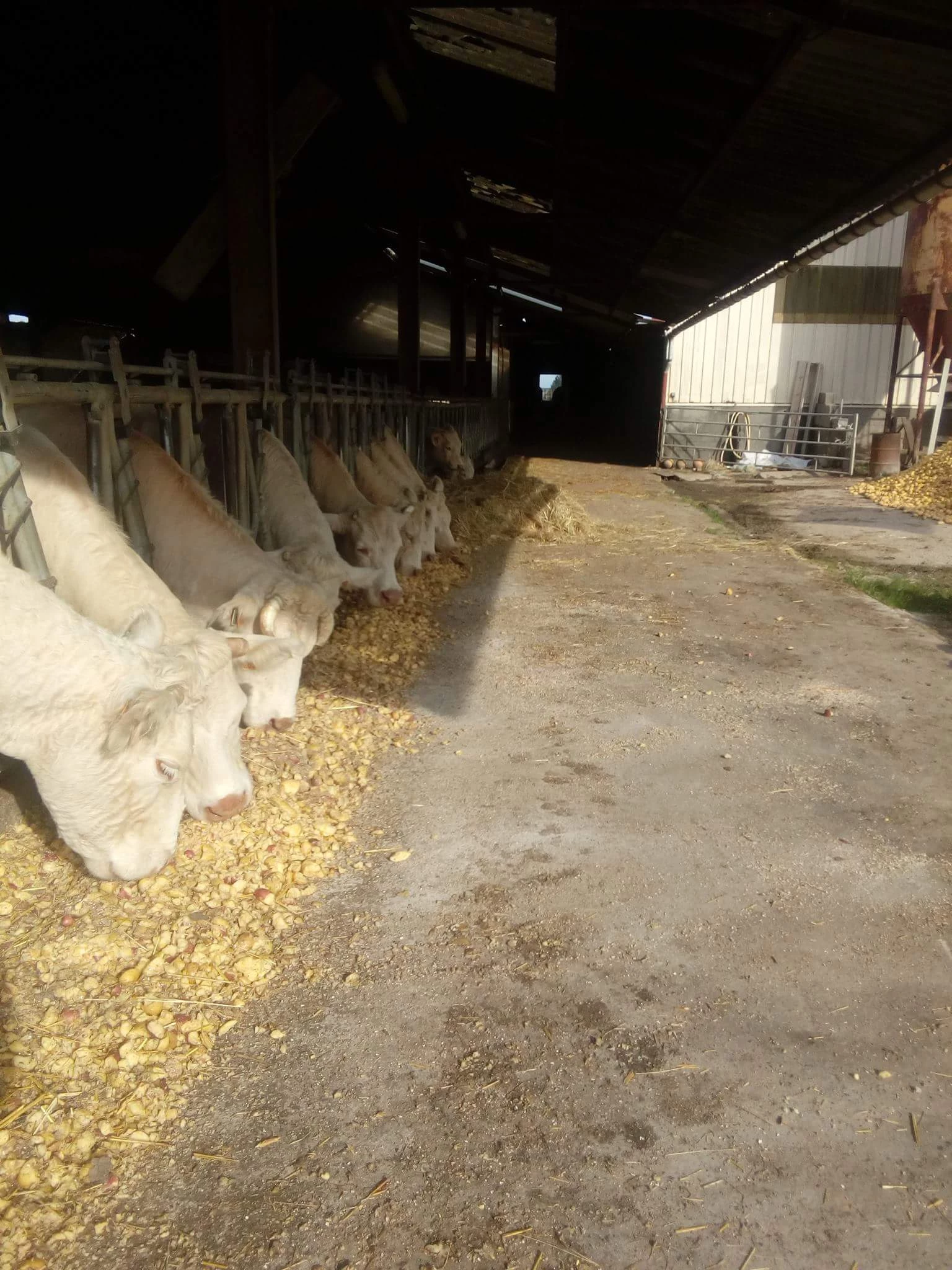 Plus que quelques jours pour les demandes à l'Aide ovine et à l'Aide caprine, mais les demandes d'ABA et d'ABL sont aussi possibles...