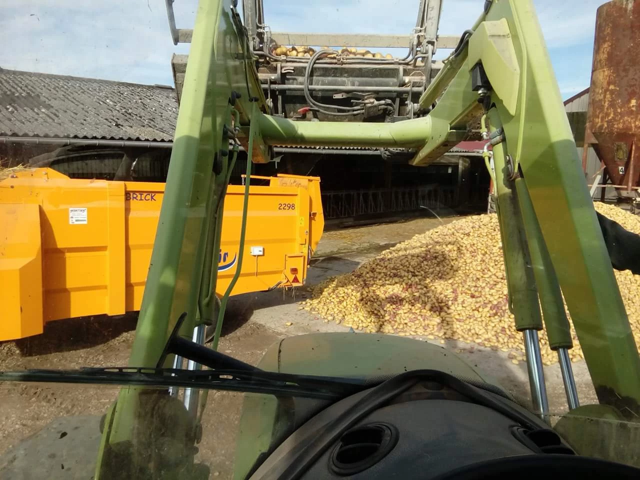 Pour garder des surfaces en herbe, Fabien Gaudet met des « patates » au menu de ses charolaises !