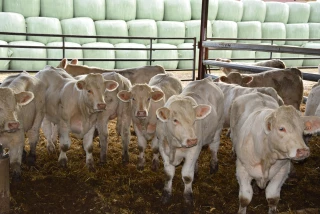 Productivité et souplesse pour perdurer